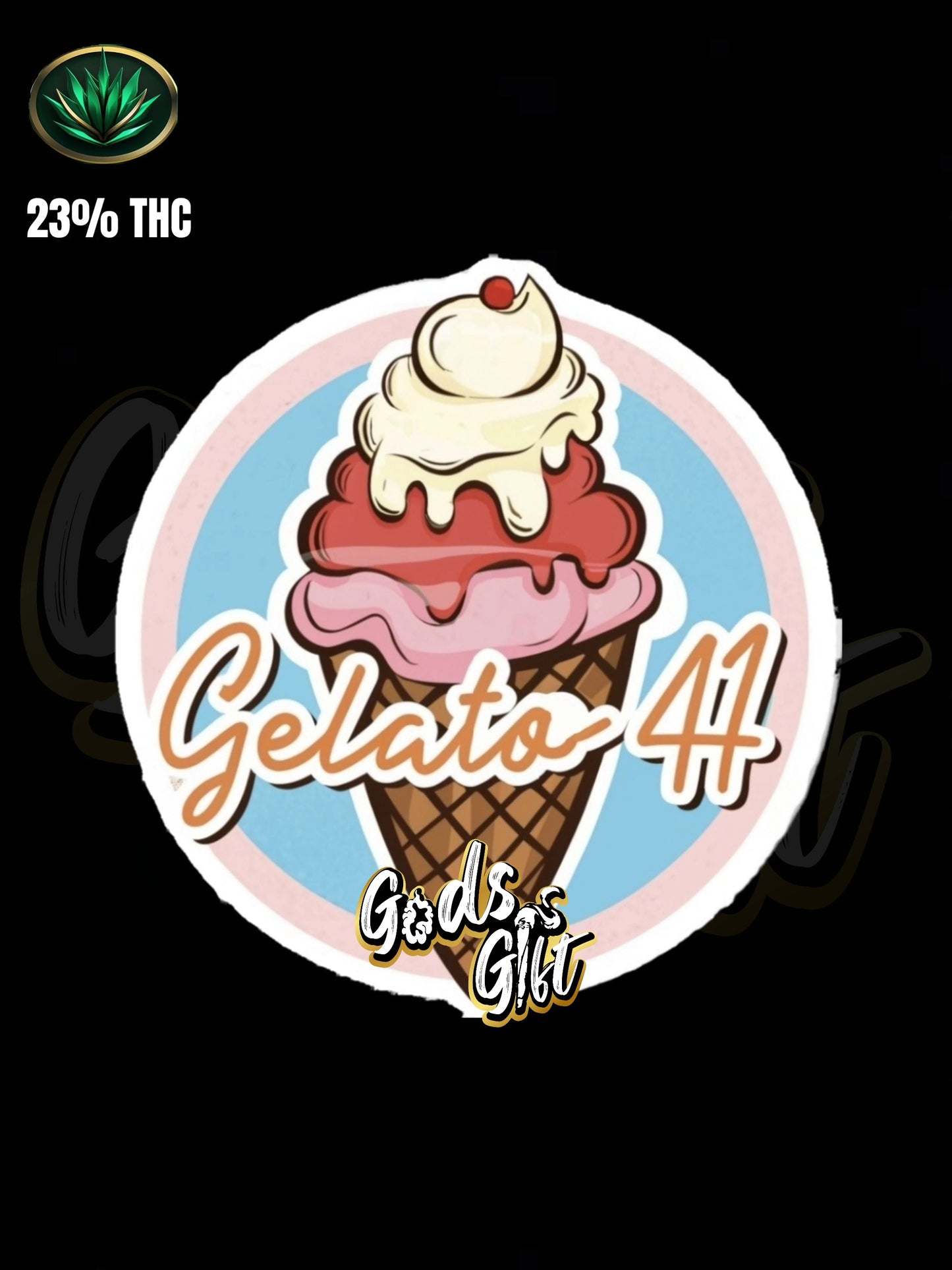 GELATO 41