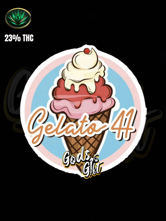 GELATO 41