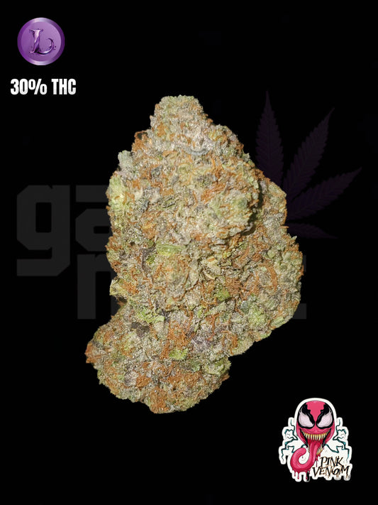 PINK VENOM