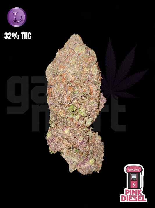 PINK DIESEL