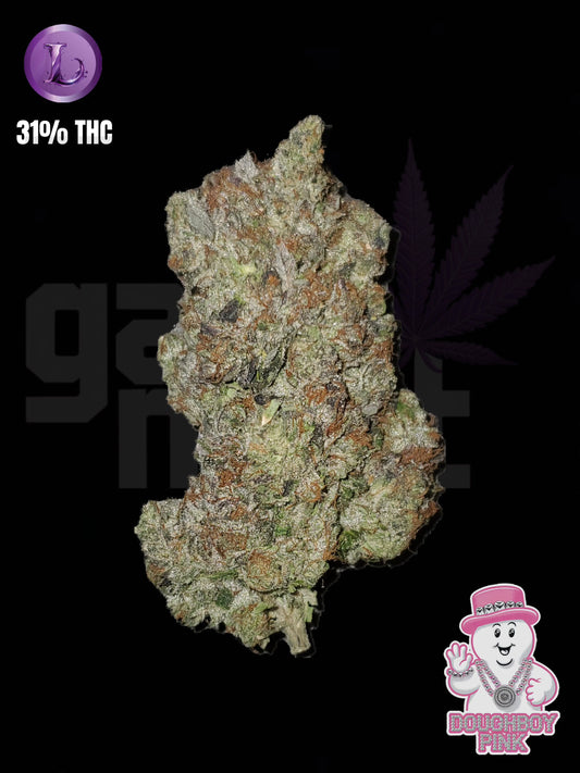 DOUGHBOY PINK