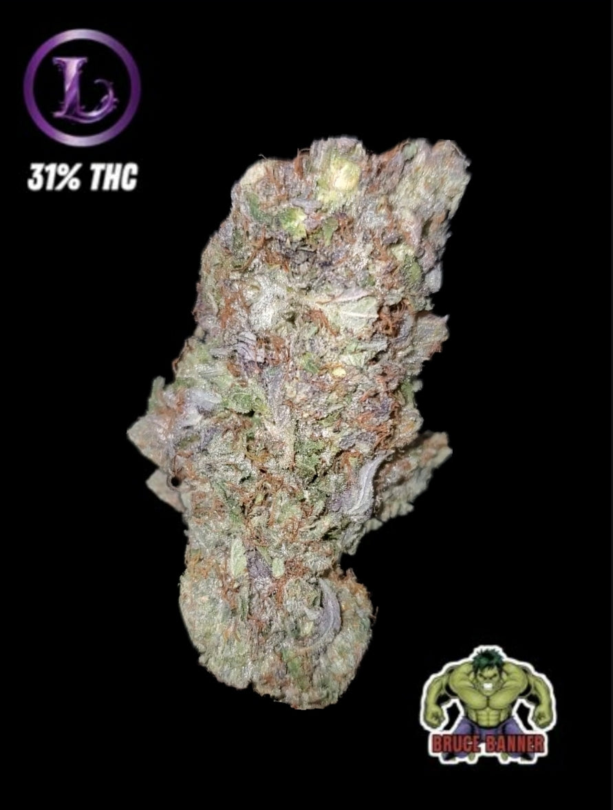 BRUCE BANNER